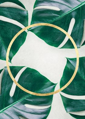 botanical polygon XI