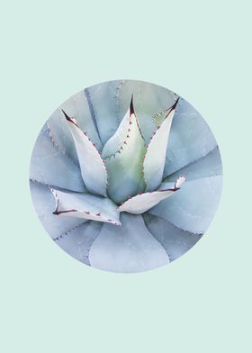 botanical polygon VII