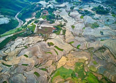 Aerial view  rice terraces