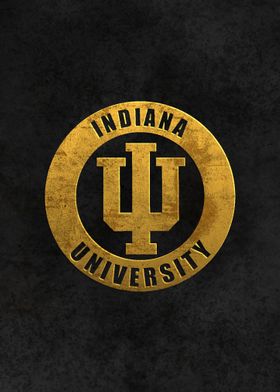 Indiana University USA 