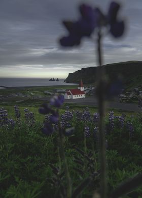 Sunset at Vik Iceland