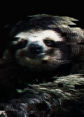 Glitched Sloth