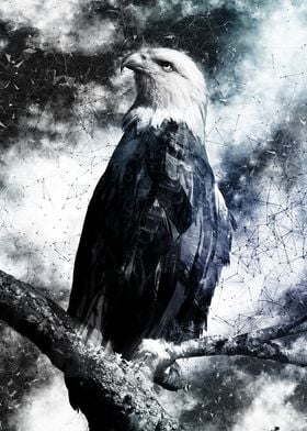 Mystic Eagle