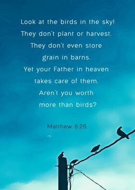 Birds Bible Verse Motivate
