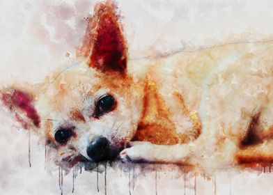 Chihuahua Watercolor