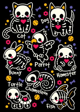 Pet skeletons