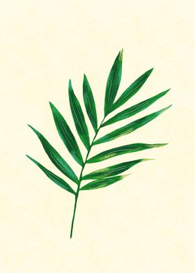 Palm leaf