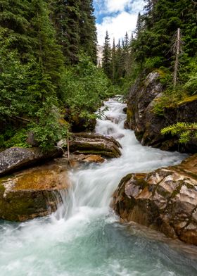 Waterfall in the forrest