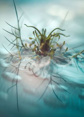 Floral Composition-preview-2