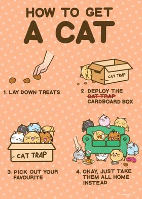 How To Get A Cat