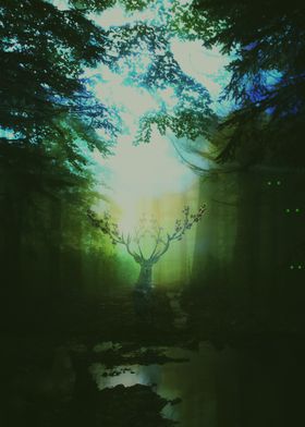 THE FOREST