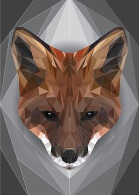 Fox Geometric