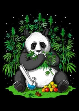 Panda Bear Hippie Stoner