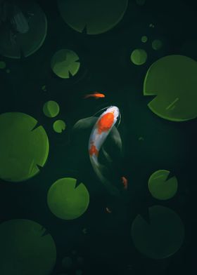 Koi Pond