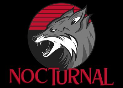 Nocturnal Fox