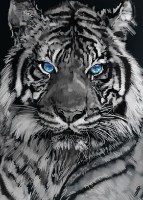 Tiger Portrait