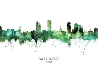 Tallahassee Skyline