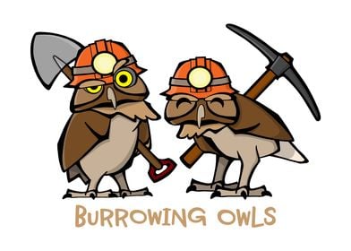 Burrowing Owls in Hardhats