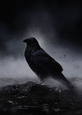 Raven in the Fog