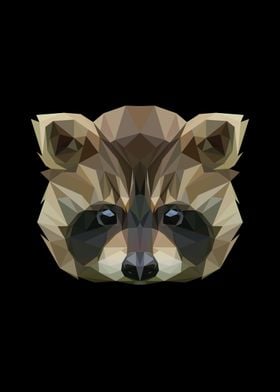 raccoon