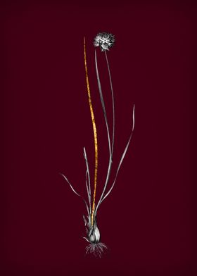 Vintage Floral Wine Gold-preview-0