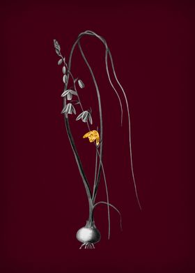 Vintage Floral Wine Gold-preview-1