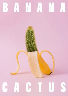 Banana Cactus