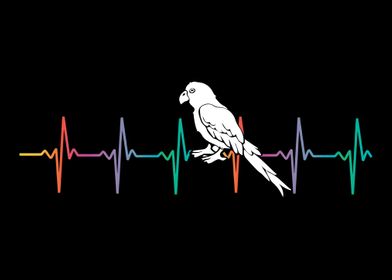 Parrot heartbeat colorful