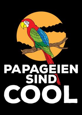 Parrot Cool  good bird