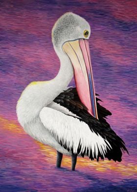 Nigel pelican portrait