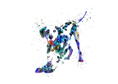 Dalmatian 