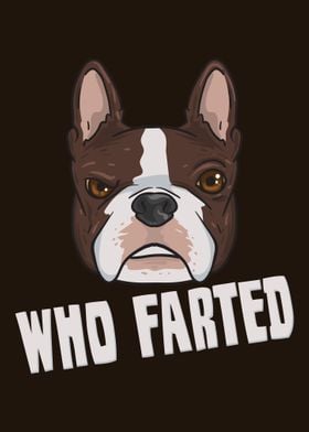 Boston Terrier Who Farted