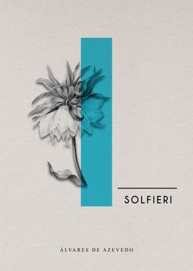 Solfieri