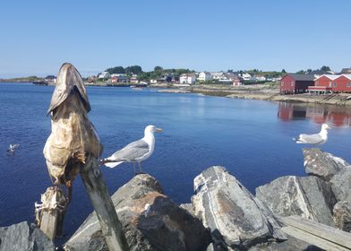 Coast in Norway