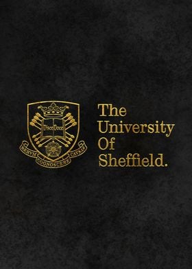  University of Sheffield