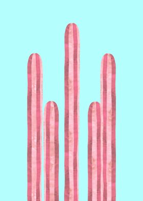 Cacti III