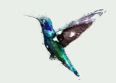 Hummingbird Art