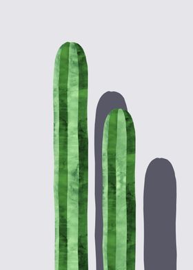 Cacti V