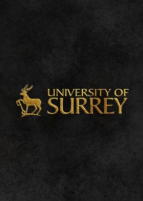 University Surrey England