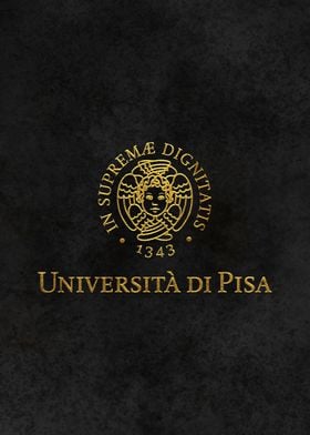  University of Pisa Italy