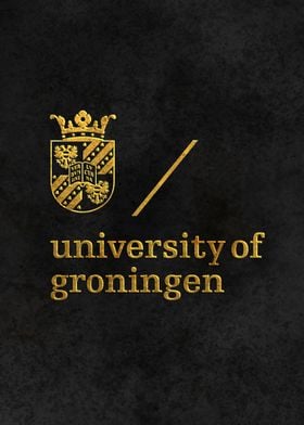  University of Groningen