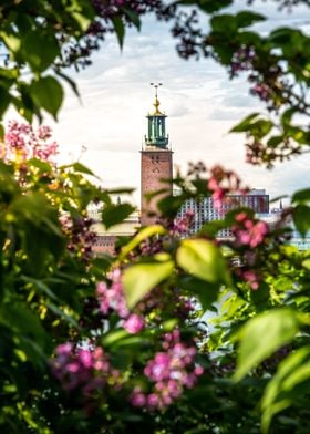 Stockholm City Hall Summer