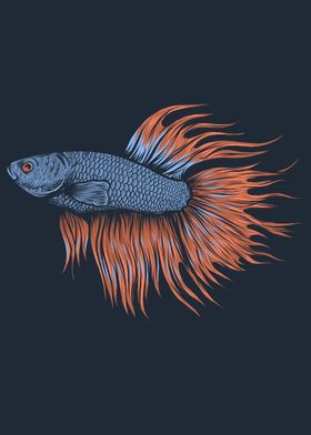 Betta fish