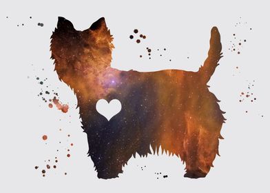 Terrier Nebula