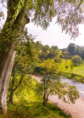 Bolton Abbey Priory