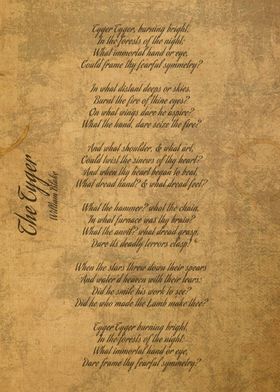 Typography Fun-preview-1