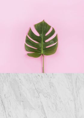 Botanical composition III