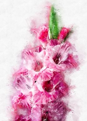 pink gladiolus watercolor