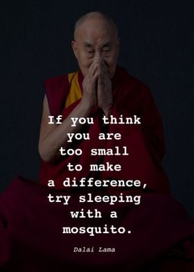 Dalai Lama Quote P1D001