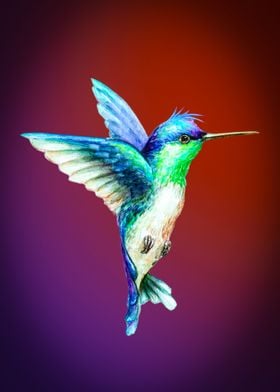 Humming bird 2